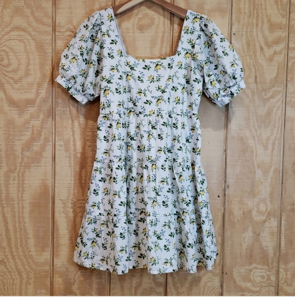 Faithful The Brand Eldora Floral Print Puff Sleeve Dress Size 8